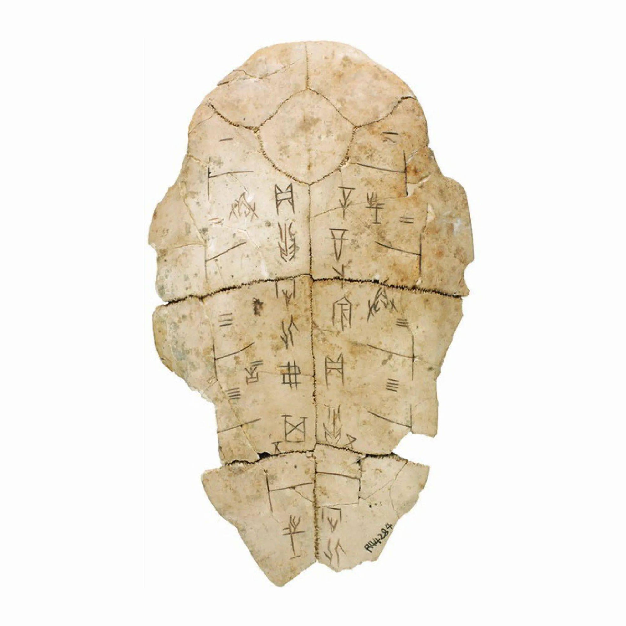 占卜（Divination）